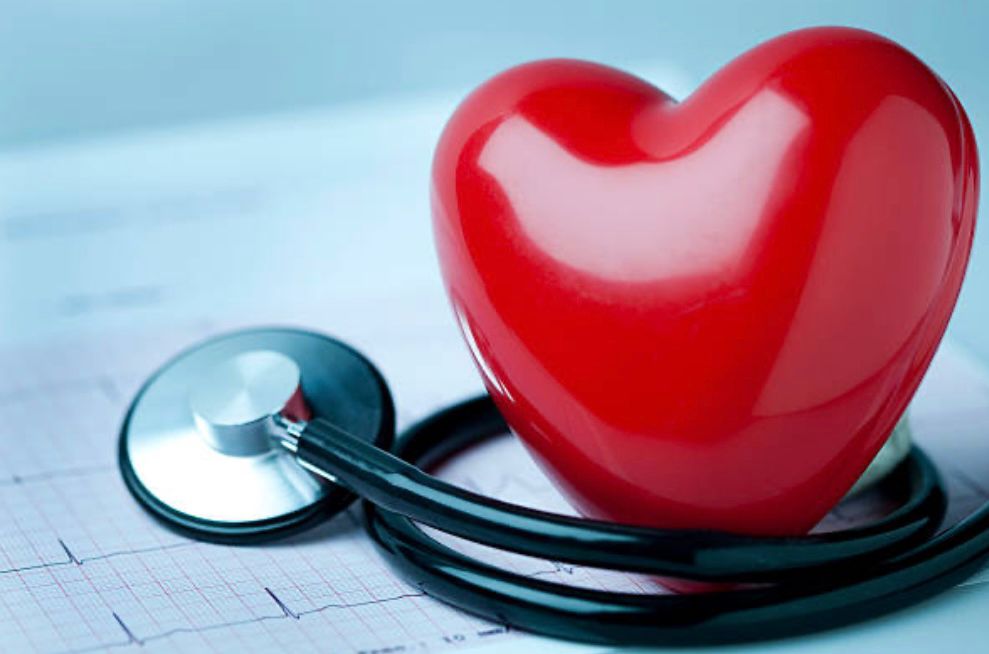 Wellness consultation for preventive care